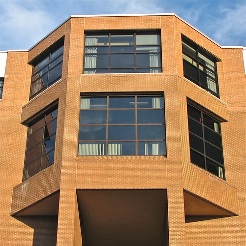 Modern Bay Windows Mount Pleasant, SC